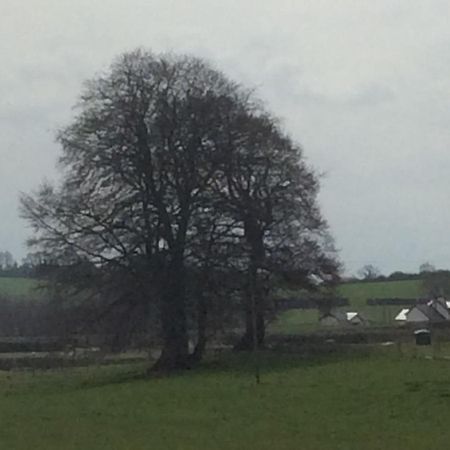 Rathgillen Lodge Nobber ภายนอก รูปภาพ