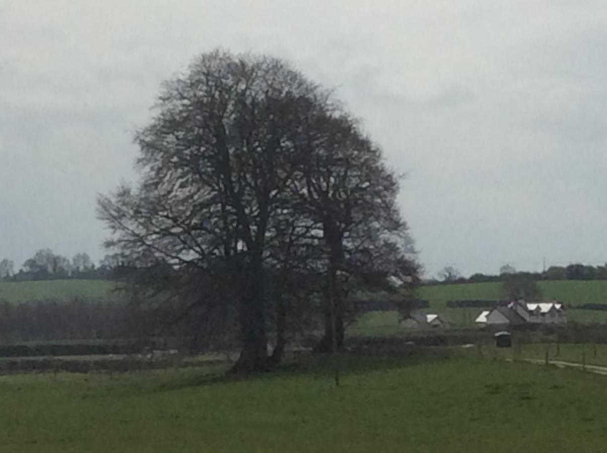 Rathgillen Lodge Nobber ภายนอก รูปภาพ